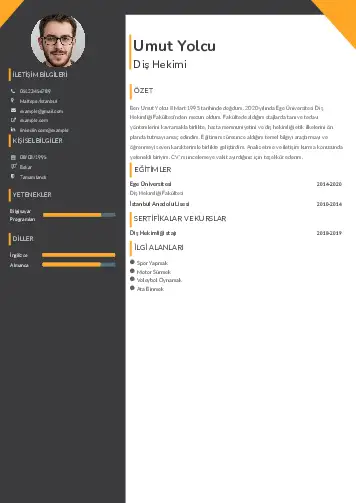 Diş Hekimi cv indir